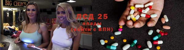 спайс Алзамай